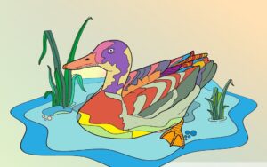 Coloring Concepts, Aquatic Birds - Duck