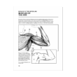 Human Body Coloring Book Coloring Concepts Inc