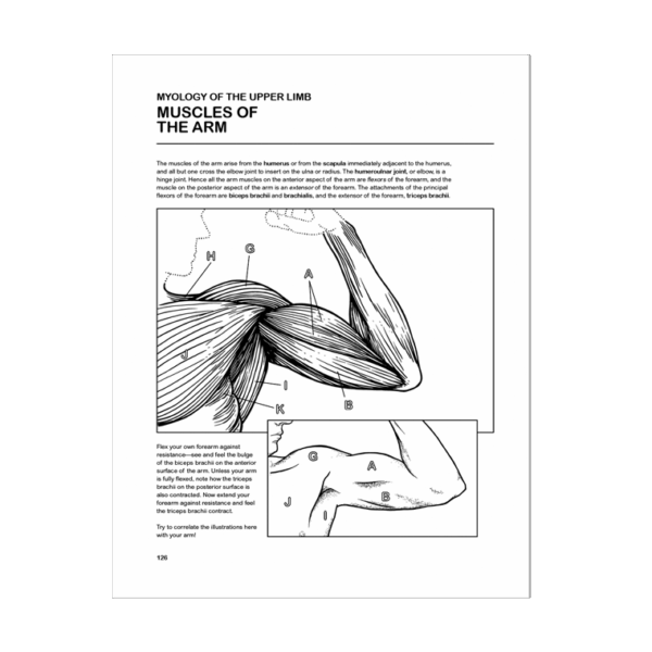 Human Body Coloring Book Coloring Concepts Inc