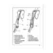 Human Body Coloring Book Coloring Concepts Inc