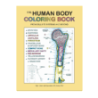Human Body Coloring Book by Coloring Concepts