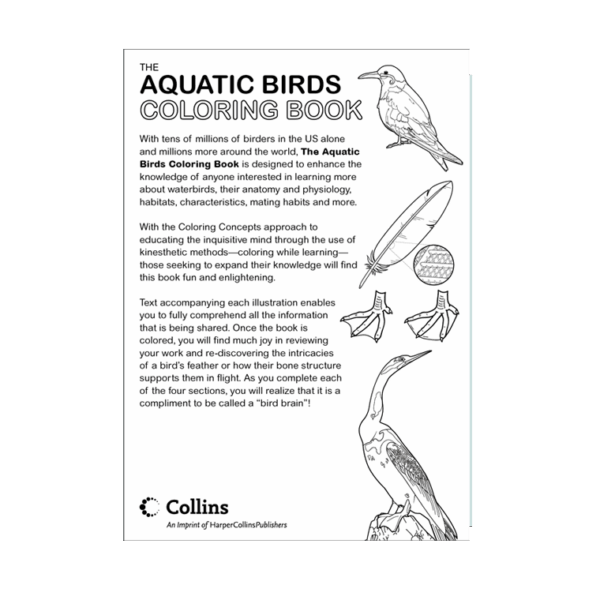 Coloring Concepts Aquatic Birds Coloring Book