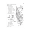 Coloring Concepts Human Brain Coloring Book