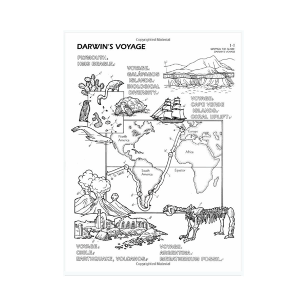 Coloring Concepts Human Evolution Coloring Book