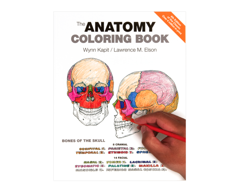 Anatomy Coloring Book, (4th Edition) - Coloring Concepts, Inc.