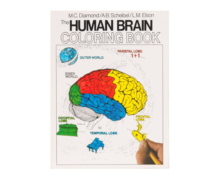 Human Brain Coloring Book Coloring Concepts, Inc.